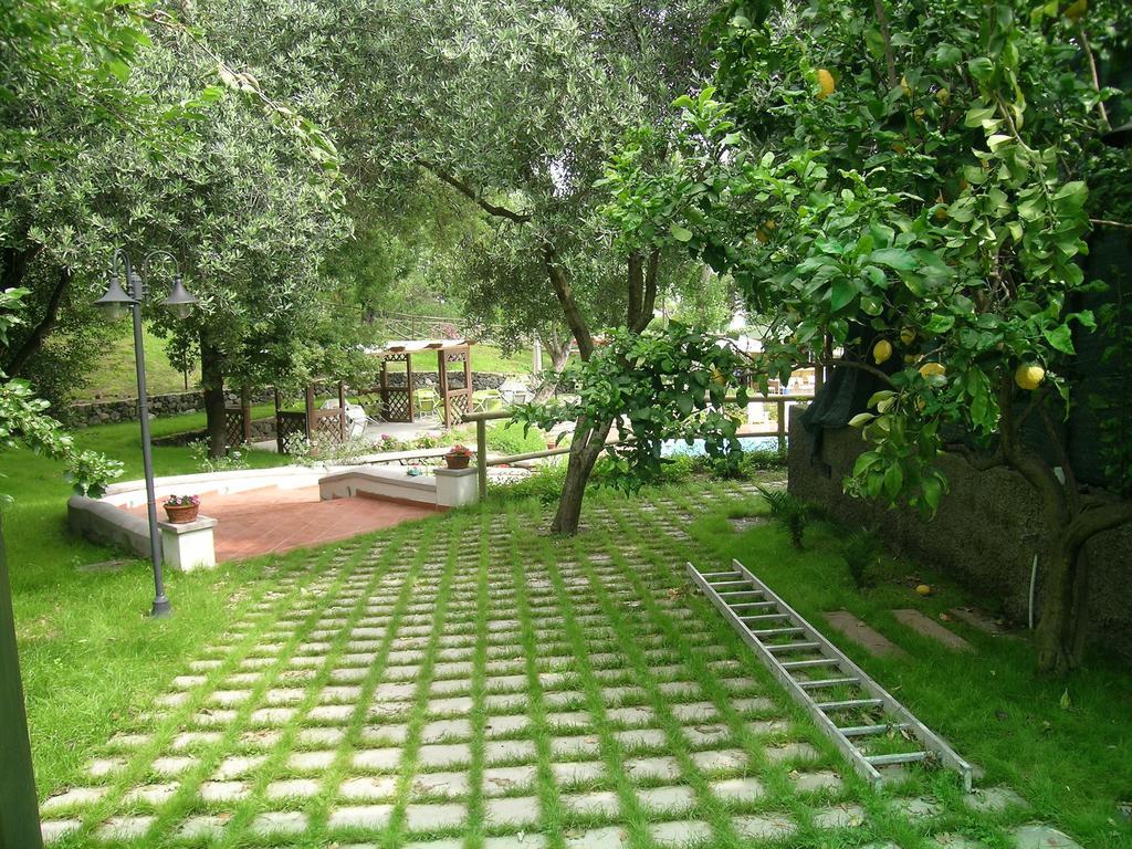 Residence Aegidius Ischia Szoba fotó